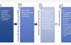 Prof. dr. Belma Kalamujić Stroil koautorica naučnog rada odabranog kao “Editor’s Choice”