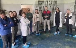 Terenska nastava - posjeta poljoprivrednom dobru "Farma Spreča" i zoo vrtu "Bingo"Bingo"