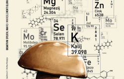 Promocija knjige „Bioaktivni spojevi, makro i mikroelementi gljiva“