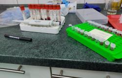 Projekat: “Ispitivanje Brucella suis, Orthohepevirus A, Toxoplasma gondii i drugih parazitarnih zoonotskih oboljenja u populaciji domaćih i divljih svinja u Federaciji Bosne i Hercegovine”