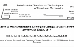 Projekat „Primjena indikatora u procjeni stanja vodotoka Kantona Sarajevo i bioremedijacija kao perspektivno rješenje zaštite”