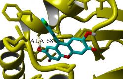 Projekat „SPOJEVI IZ MORSKIH ORGANIZAMA: IN SILICO SKRINING U POTRAZI ZA POTENCIJALNIM LIJEKOM PROTIV SARSCOV-2“