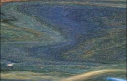 Objavljen rad "Inhibitory potential of phytochemicals on five SARS-CoV-2 proteins: in silico evaluation of endemic plants of Bosnia and Herzegovina" u okviru rezultata naučnoistraživačkog projekta 