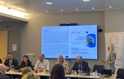 Predstavljanje Univerziteta u Sarajevu na panelu Promoting Research Infrastructures for Societal Challenges: Progress in the Development of Research Infrastructures in the Western Balkans