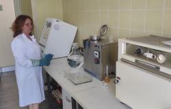 Poljoprivredno-prehrambeni fakultet UNSA | Uspješno realizirana laboratorijska simulacija in vitro probavljivosti kod preživara