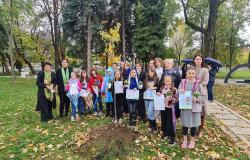 Univerzitet u Sarajevu obilježio Nacionalni dan svjesnosti o bibliotekama u BiH | Zelene biblioteke