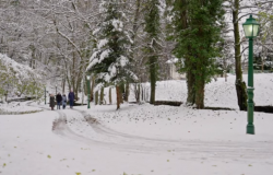 Javna prezentacija rezultata naučno-istraživačkog projekta "Uloga i značaj vode u razvoju Sarajeva kroz historiju"