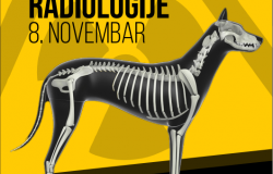 Međunarodni dan radiologije