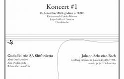 Koncert #1 Večeri kamerne muzike