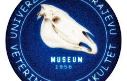 Virtuelna posjeta Muzeju Veterinarskog fakulteta Univerziteta u Sarajevu