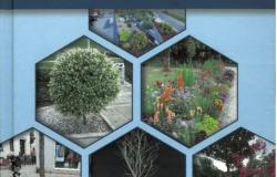 Nova publikacija u izdanju Šumarskog fakulteta UNSA | “Podizanje i njega zelenila”