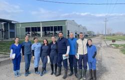 Boravak studenata Veterinarskog fakulteta UNSA na kliničkoj radionici u organizaciji Fakulteta veterinarske medicine Univerziteta u Beogradu