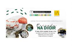 Izložba "Priroda na dodir" u Zemaljskom muzeju BiH