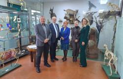 Ministrica za nauku, visoko obrazovanje i mlade Kantona Sarajevo posjetila Veterinarski fakultet Univerziteta u Sarajevu