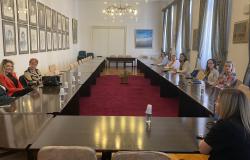 Minister of Science, Higher Education, and Youth of the Canton of Sarajevo Visits the Centre for Research and Development and the Service for Research and Development at UNSA