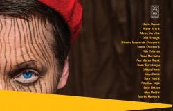 Nastavnici, studenti i alumniji Akademije scenskih umjetnosti UNSA u mjuziklu "Pinocchio" 