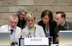 Prof. dr. Senka Barudanović uspješno privela kraju pregovore zemalja UN Konvencije o biološkoj raznolikosti na SBSTTA 26