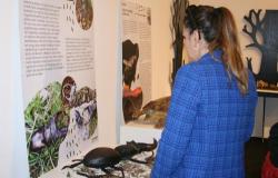 Otvorena inkluzivna izložba „Priroda na dodir“ u Zemaljskom muzeju BiH
