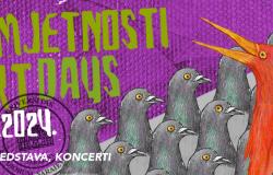 Dani umjetnosti UNSA