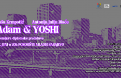 Akademija scenskih umjetnosti UNSA | Pregled rada studentice IV godine Odsjeka za produkciju i menadžment u oblasti scenskih umjetnosti Adne Rizvan