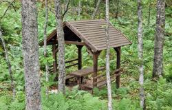 Šumarski fakultet UNSA | STRATEGYMEDFOR – Strategija za održivo upravljanje mediteranskim šumama