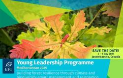 EFI Young Leadership Programme – Mediterranean 2025 (YLPMED 2025)