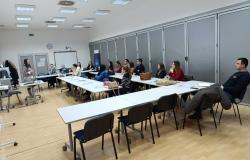 U toku je realizacija prvog ciklusa TRAIN programa u akademskoj 2024/2025. godini 