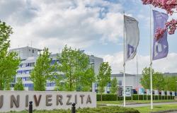 DEADLINE EXTENDED | Call for Papers, EUPeace Conference 2025 "Advancing Justice, Peace and Inclusiveness in Times of AI" 