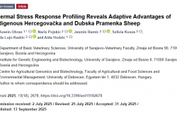 U časopisu Animals objavljen naučni članak pod nazivom “Thermal Stress Response Profiling Reveals Adaptive Advantages of Indigenous Hercegovačka and Dubska Pramenka Sheep”