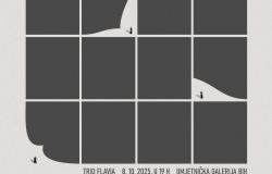 Koncert ansambla "Trio Flavia"