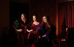 Muzičko-scenski performans "RedCabaret"