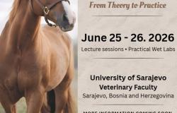 WEVA Intermediate Meeting – međunarodni edukativni događaj namijenjen veterinarima