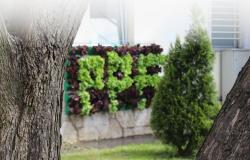 Riječ dekana povodom obilježavanja 86. godišnjice Poljoprivredno-prehrambenog fakulteta UNSA