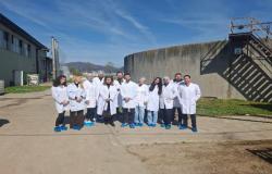 Veterinarski fakultet UNSA | U pogonima kompanije „BROVIS“ d.o.o. realizirana terenska nastava/vježbe studenata V godine