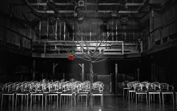 Projekti nastavnika i studenata Akademije scenskih umjetnosti UNSA na filmskom festivalu u Berlinu