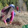 Studenti Šumarskog fakulteta UNSA u akciji pošumljavanja 