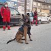 Veliko srce nastavnika, studenata i pacijenata Veterinarskog fakulteta Univerziteta u Sarajevu
