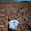 Početak međunarodnog istraživačkog projekta: “Studying the Effects of TSPplus Products on Crop Production” u Bosni i Hercegovini