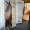 WEVA Intermediate Meeting 2026 uspješno održan na Veterinarskom fakultetu UNSA