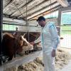 Posjeta delegacije MAKU Univerziteta Veterinarskom fakultetu UNSA u okviru saradnje s TIKA-om na uspostavljanju laboratorije za embriotransfer